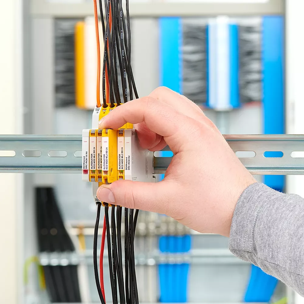 DEHN