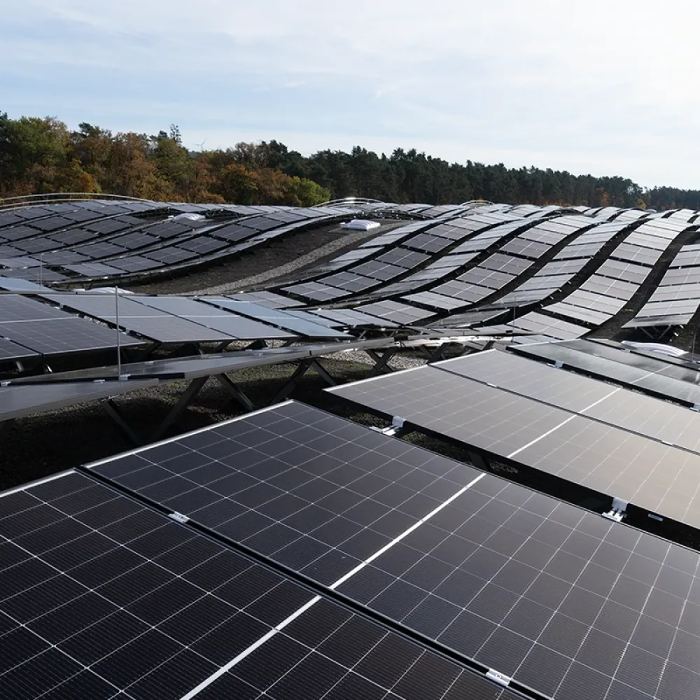 Large industrial photovoltaic installation with rows of solar panels on curved rooftop landscape near forest.