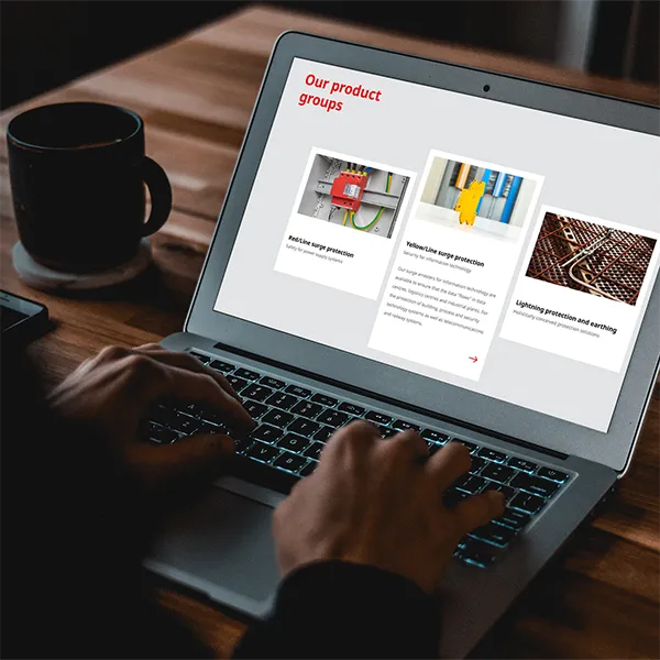 Laptop screen with the online catalogue from DEHN Singapore