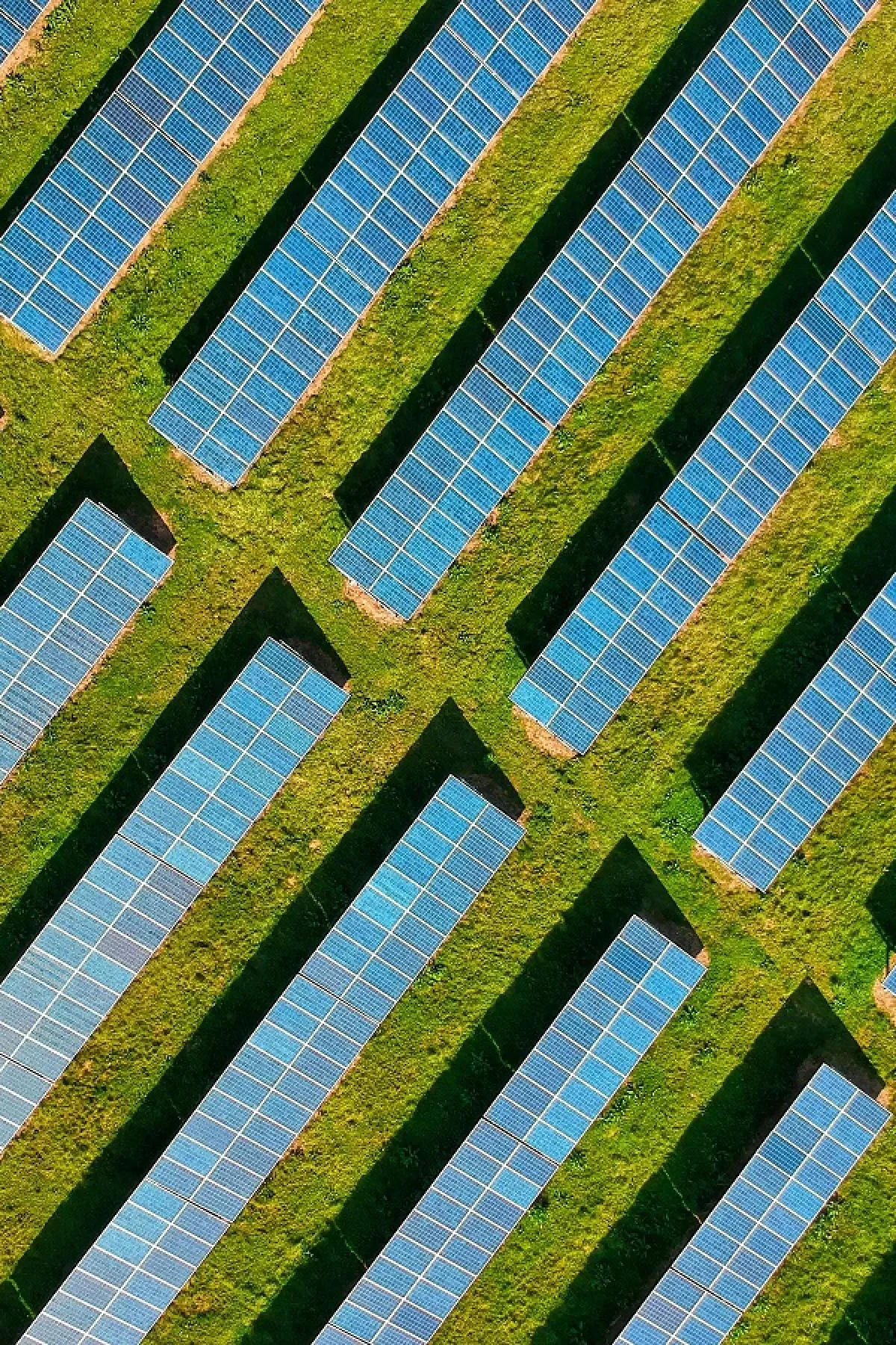 un particolare di una farm per il fotovoltaico con nascoste le batterie di accumulo