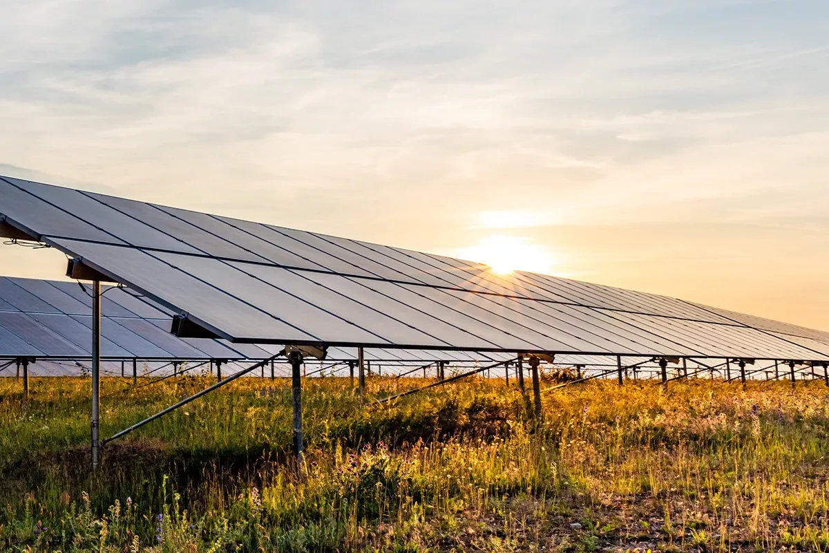 Solar panels mounted on metal frames in a field at sunset